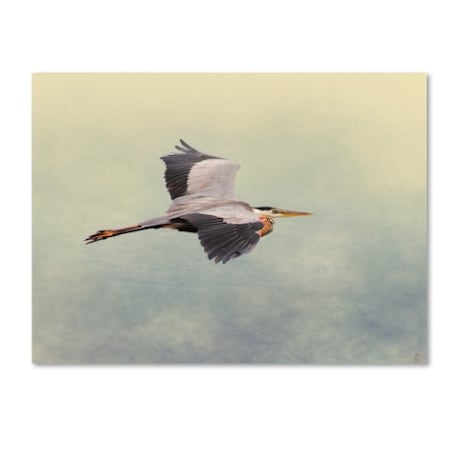 Jai Johnson 'Blue Heron In Flight 1' Canvas Art,35x47